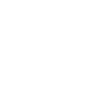 Nest Balaton